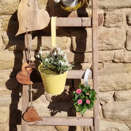 Stadtmuehle * Allstedt