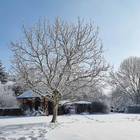 Stadtmuehle Apartamento *