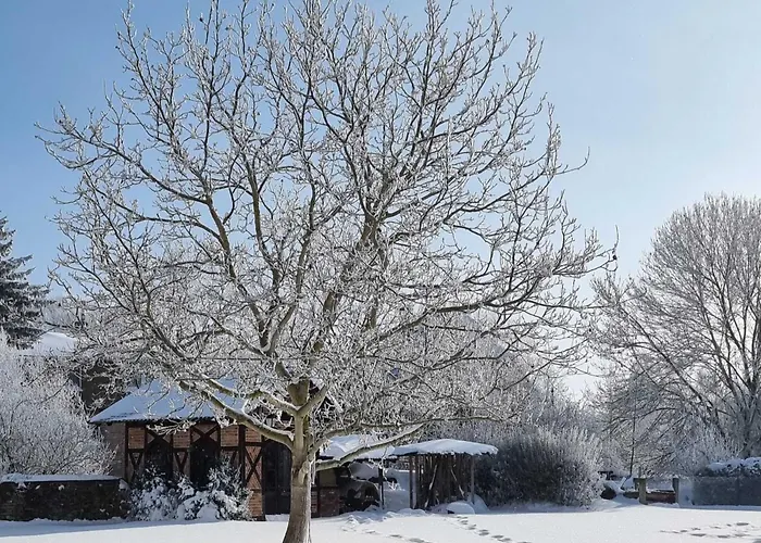 Stadtmuehle Appartement *